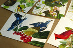 Songbirds John James Audubon Postcard Postcard unposted set of 5 lot