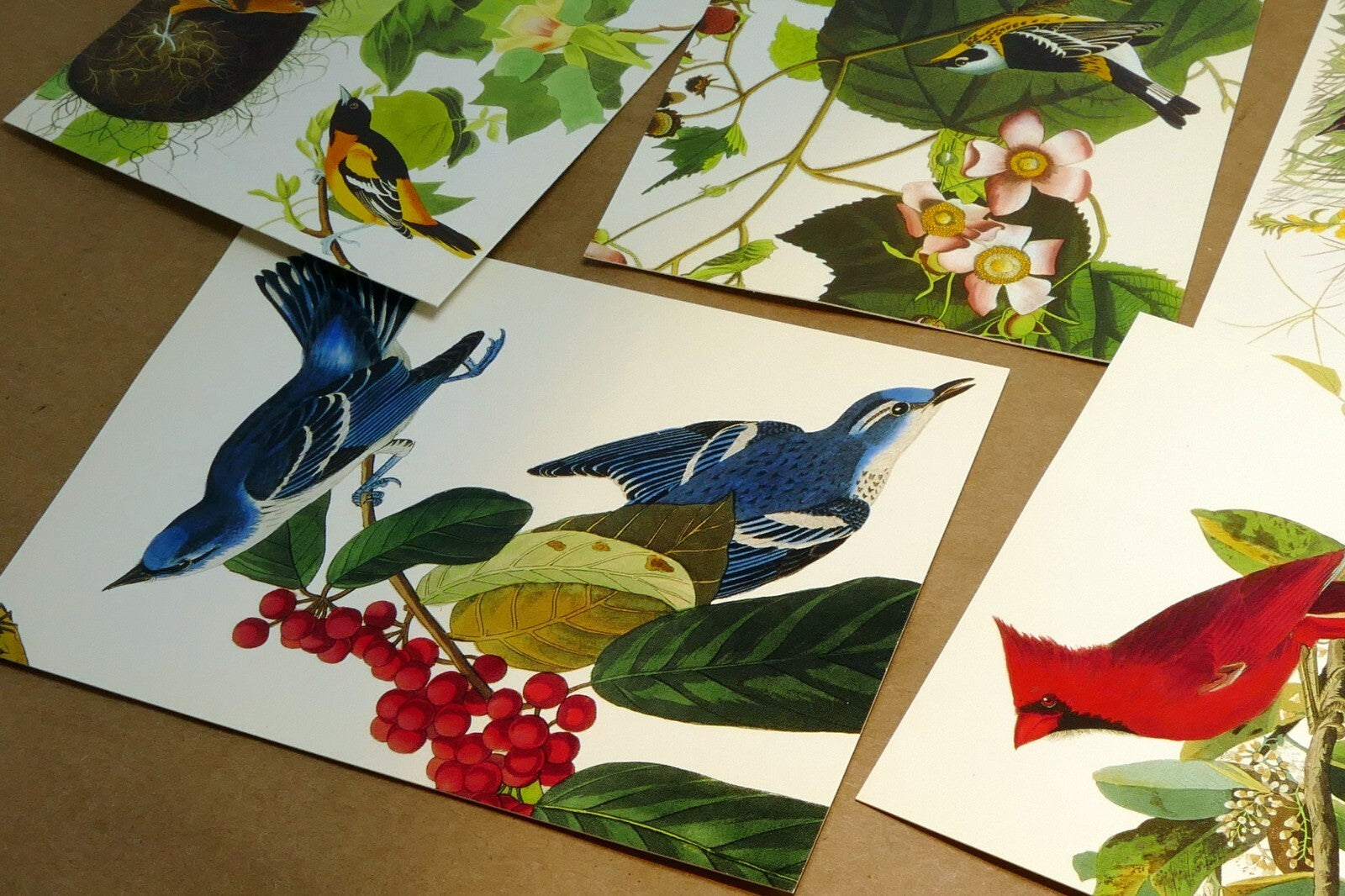 Songbirds John James Audubon Postcard Postcard unposted set of 5 lot