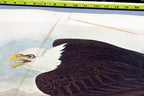 1966 Audubon Print  Bald Eagle plate 14, bird print poster 20X26"