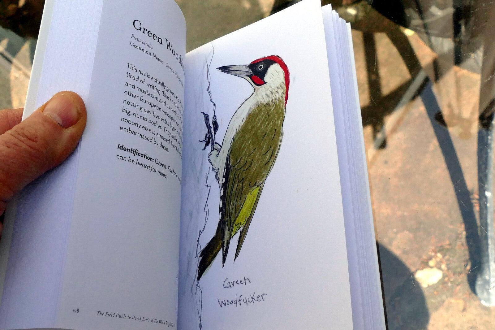 The Field Guide to Dumb Birds of the Whole Stupid World (Paperback or Softback)