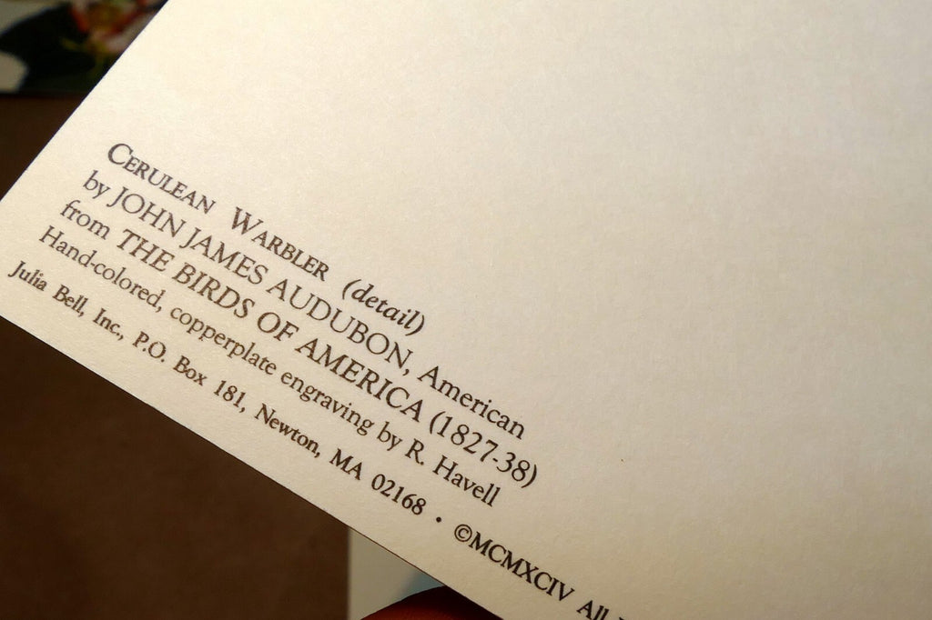 Songbirds John James Audubon Postcard Postcard unposted set of 5 lot