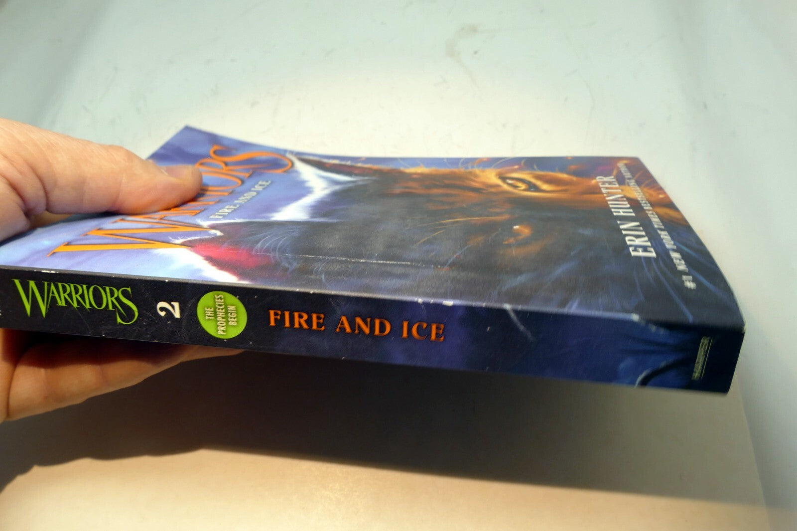 Erin Hunter Warriors #2 (Paperback) Fire and Ice - very good