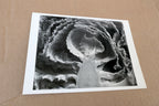 Kale Halved 1930 Photograph by Edward Weston greeting card W-009-85 35-V
