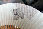 Japanese Hand FOLDING FAN, Bamboo with Cricket hand painted