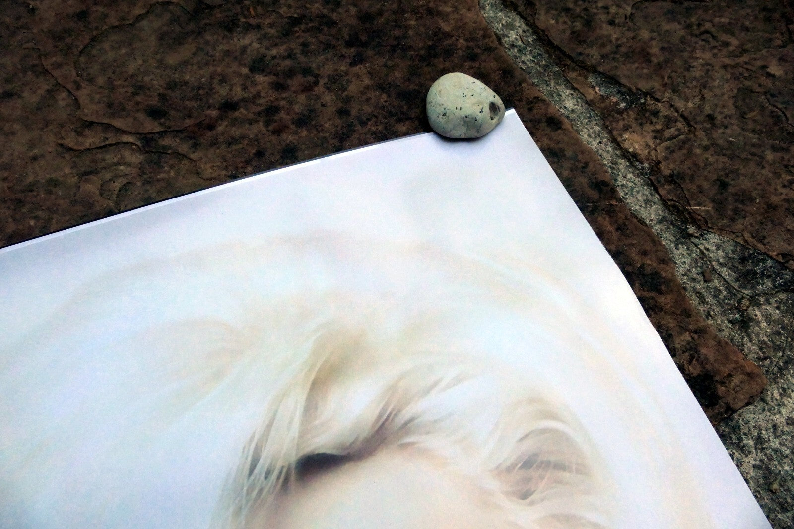 Marilyn Monroe Pink Bubble Gum Premium Art Print 36in x 24in large wall poster