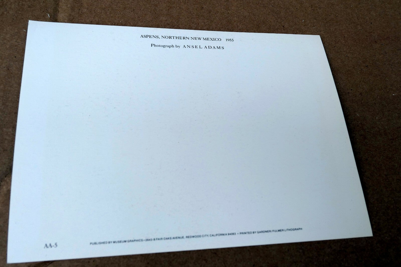 Aspens Northern New Mexico 1955 photo by Ansel Adams POSTCARD A-55 VII