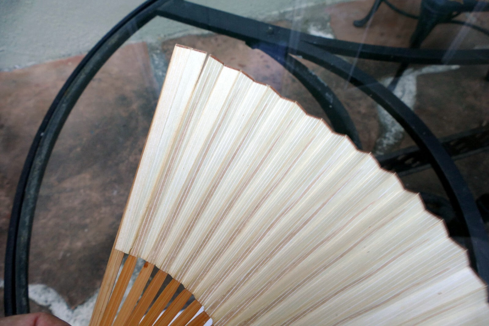 Japanese Hand FOLDING FAN, Bamboo with Cricket hand painted