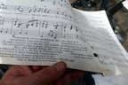 Young and in Love by Bob Sherman Roberts  sheet music 1957