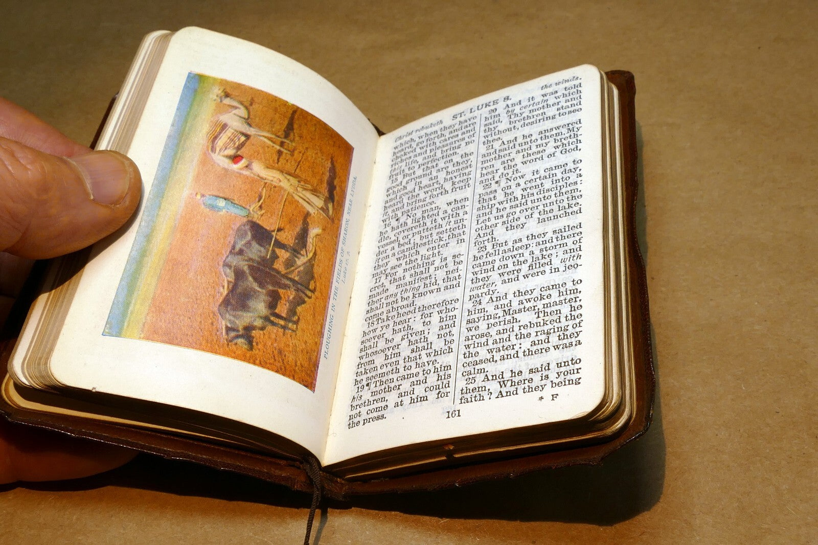 Pocket Oxford New Testament Bible Printed in London 1900's w/ color pictures