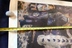 Auguste Renoir G-1152 "The Swing" POSTER Shorewood Press SPADEM 1960