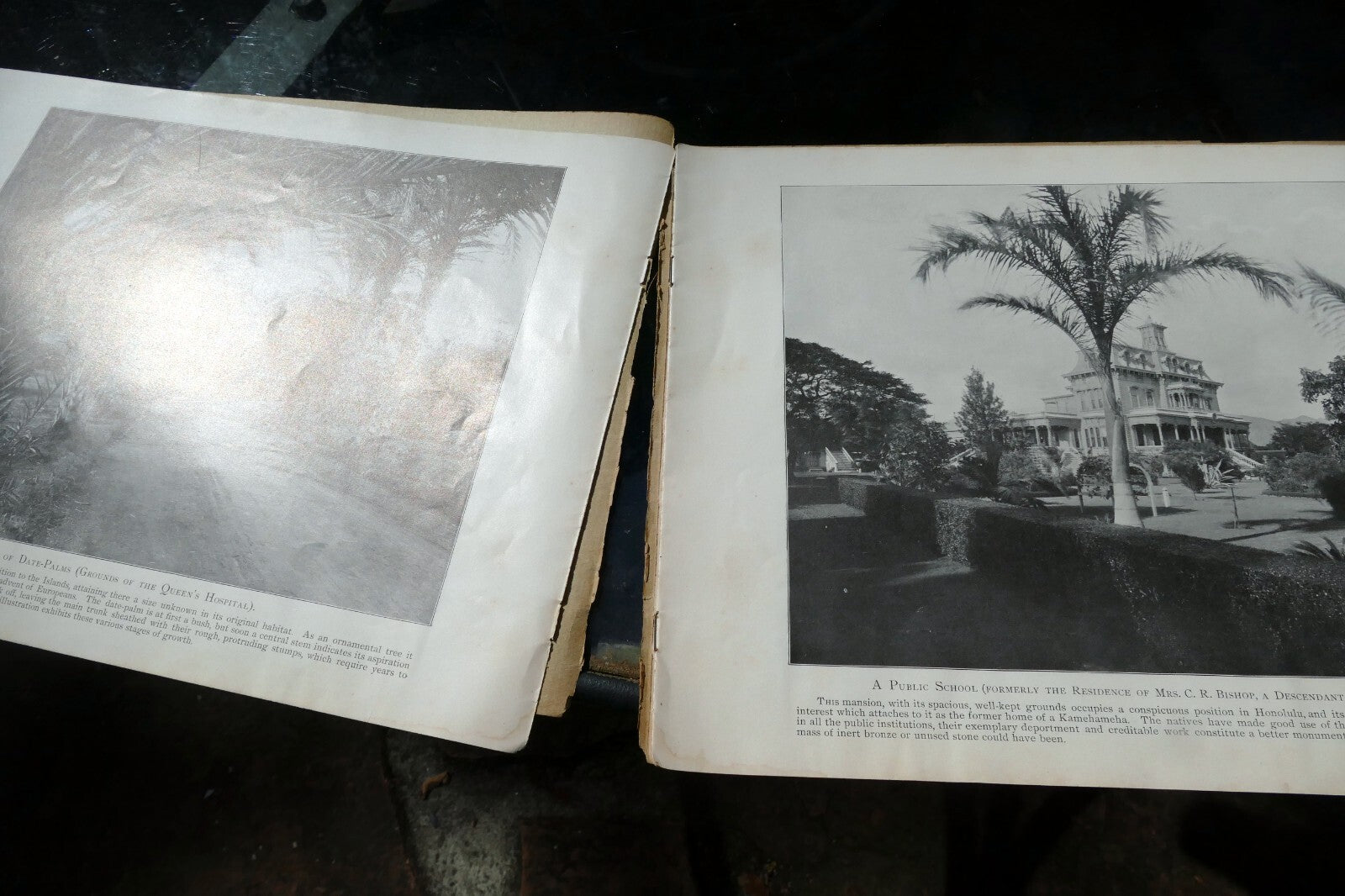The Hawaiian Islands Paradise Of The Pacific Book Photographs Journal Apr. 1898