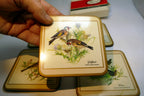 Pimpernel Beverage Coasters Wild Birds Set of 5 Square 4"  England European pack
