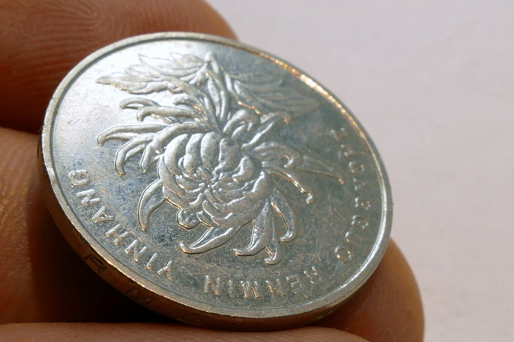 1 Yi Yuan Coin 2001 ZHONGGUO RENMIN Yinhang China