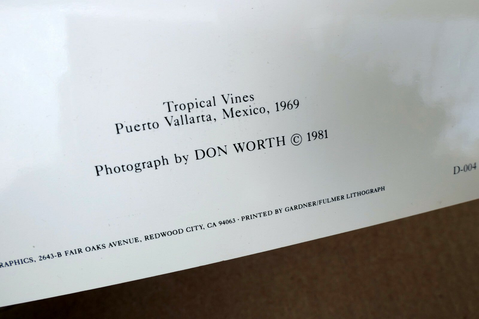 Tropical Vines Puerto Vallarta Mexico Photograph Don Worth D-004 Greeting Card