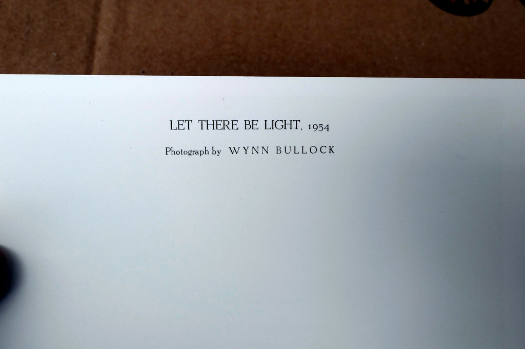 Let There Be Light 1954 Photograph by Wynn Bullock POSTCARD WB-5