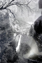 Yosemite california 11x14" black & white picture photo valley waterfall cascades
