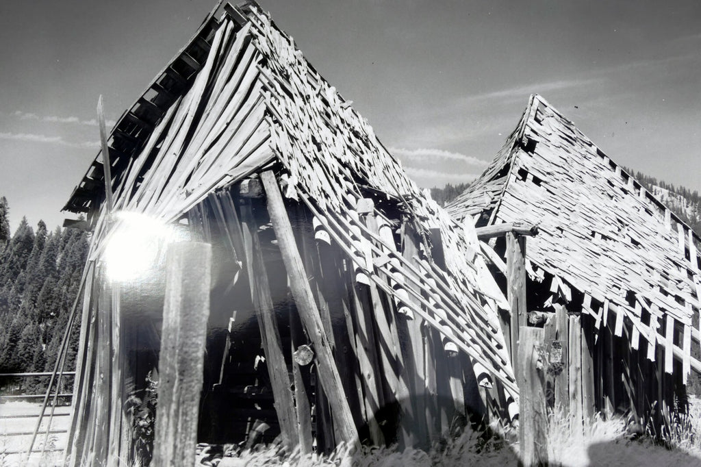 Mt. Shasta California 11X14" Black & white Picture Photo Forgotten Cabin USA