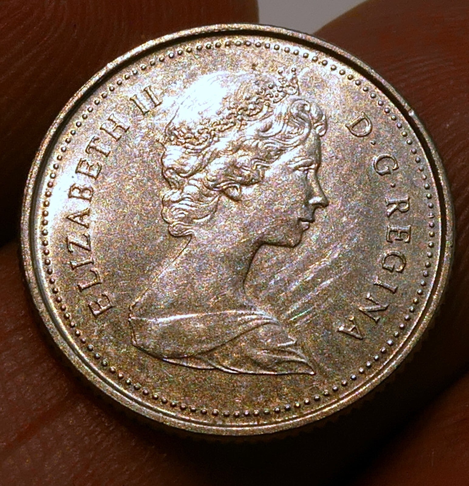 1981 canadian 10 cent dime coin circulated