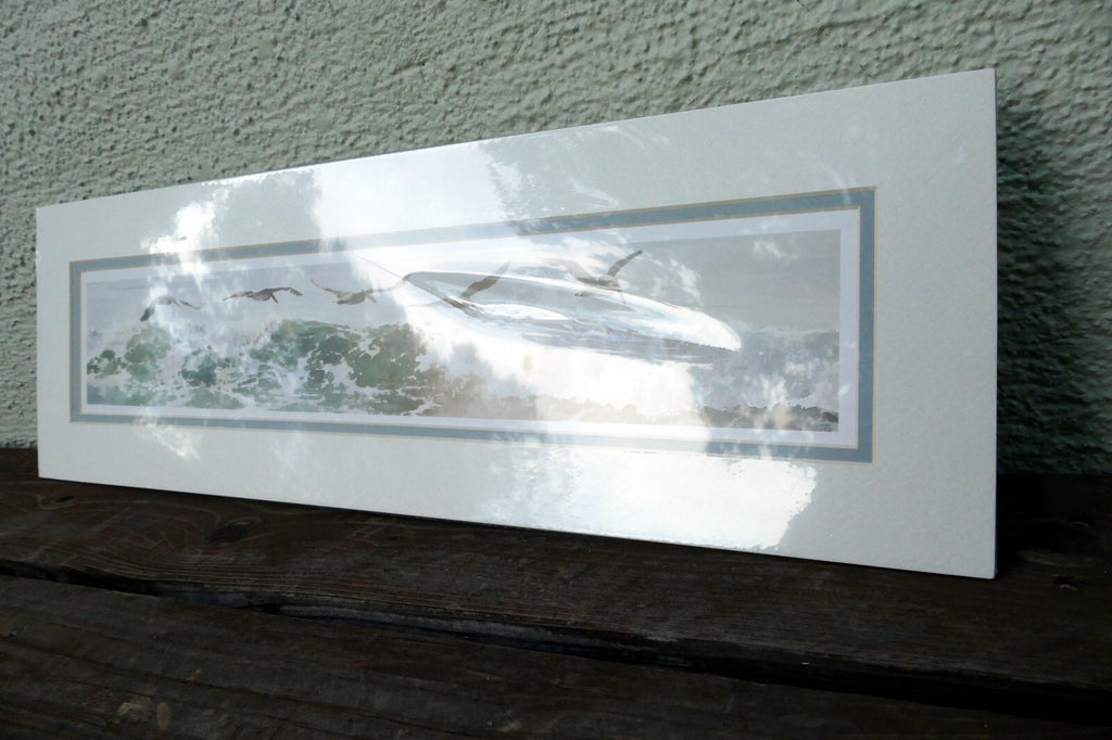 3X18" shorebirds pelicans flying Print R. folk NWS