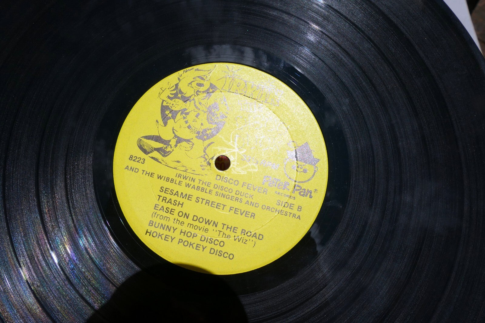 Disco Duck - Disco Fever  Hits For Kids (1978)  Vinyl LP  8223