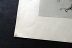 LEONARD BASKIN "Eagle" Woodcut Print - Numbered 54, unframed - vintage
