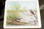 Mark Spencer Bird Mat  cork backed coater 7X9" placemat by M. Spencer