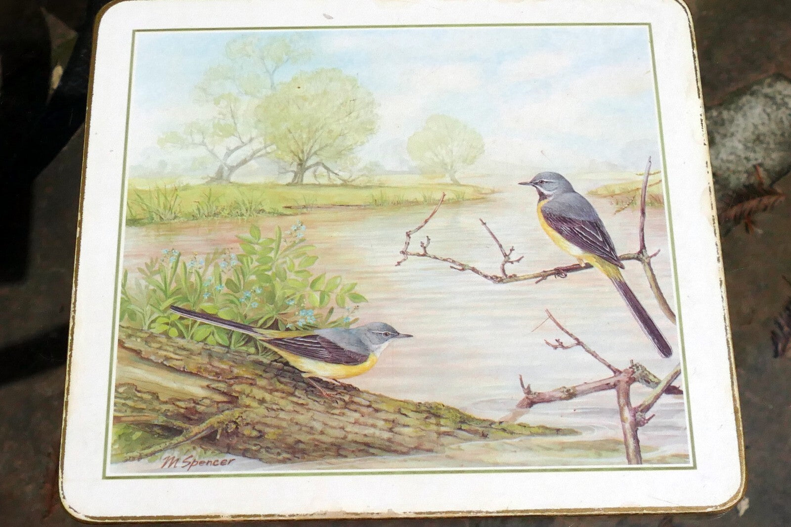 Mark Spencer Bird Mat  cork backed coater 7X9" placemat by M. Spencer