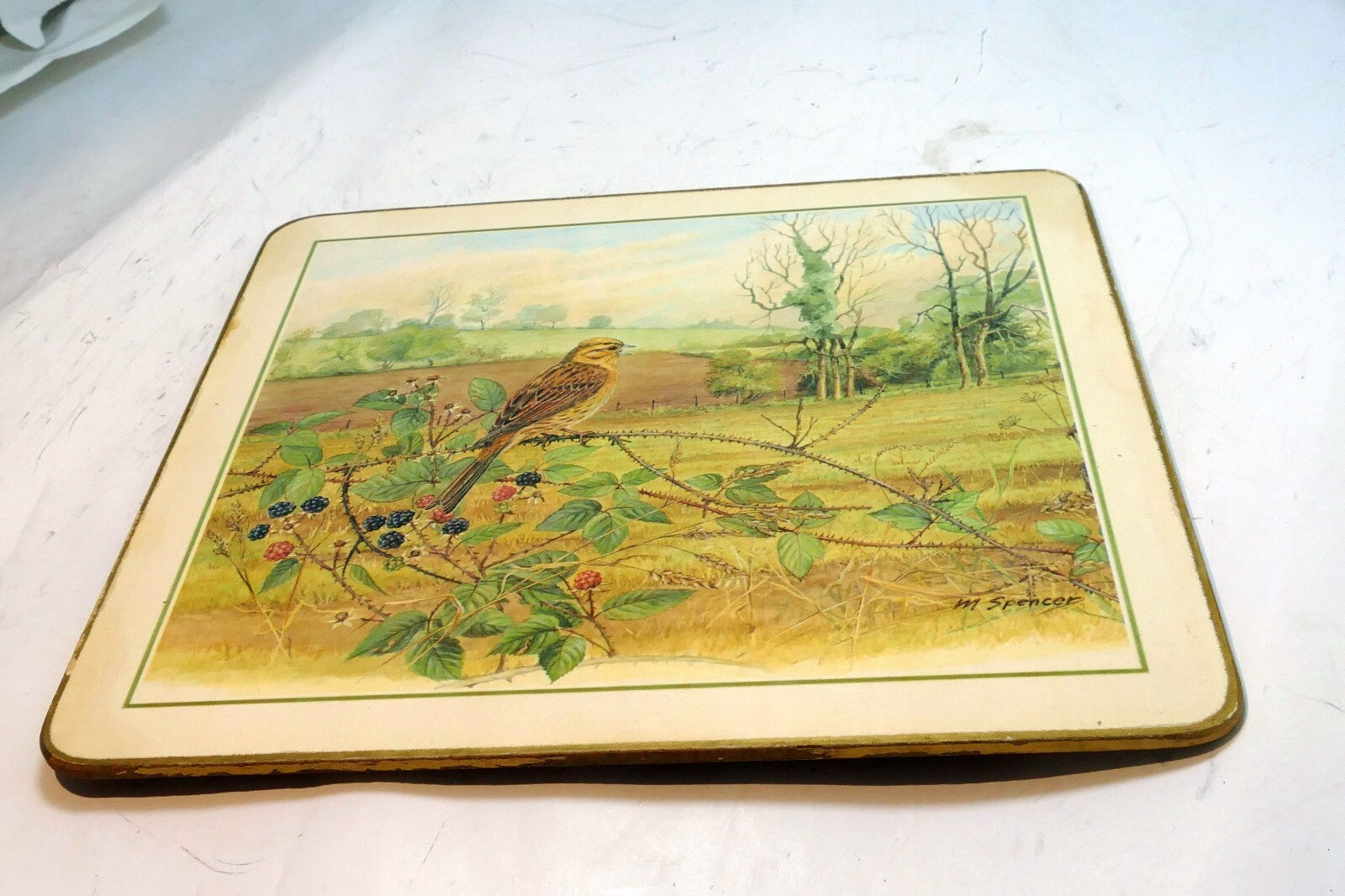 Bird  Placemat   mat 7X8" by M. Spencer Birds - vintage