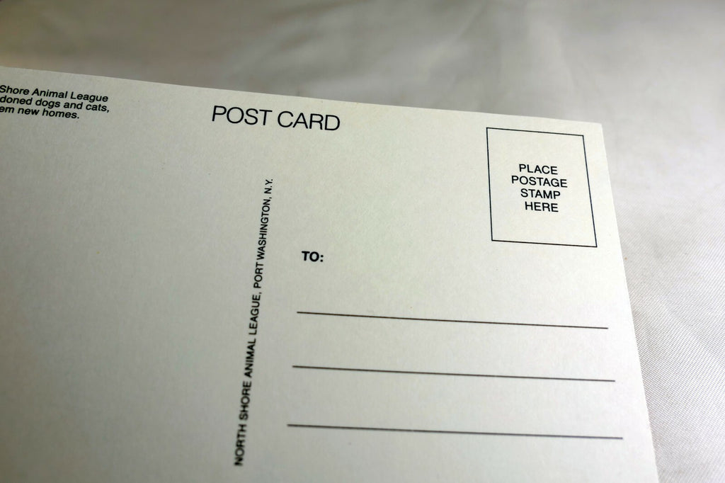 Missing You Postcard Animal Shelter North Shore League Adopt a Pet Kitten 1980's