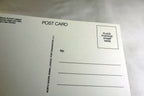 Missing You Postcard Animal Shelter North Shore League Adopt a Pet Kitten 1980's