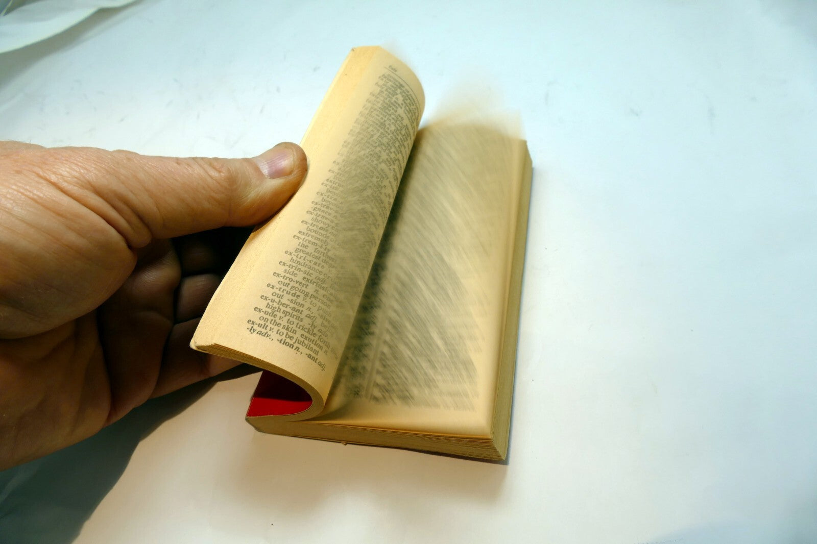 Vintage Vest Pocket Edition Webster Dictionary 1989