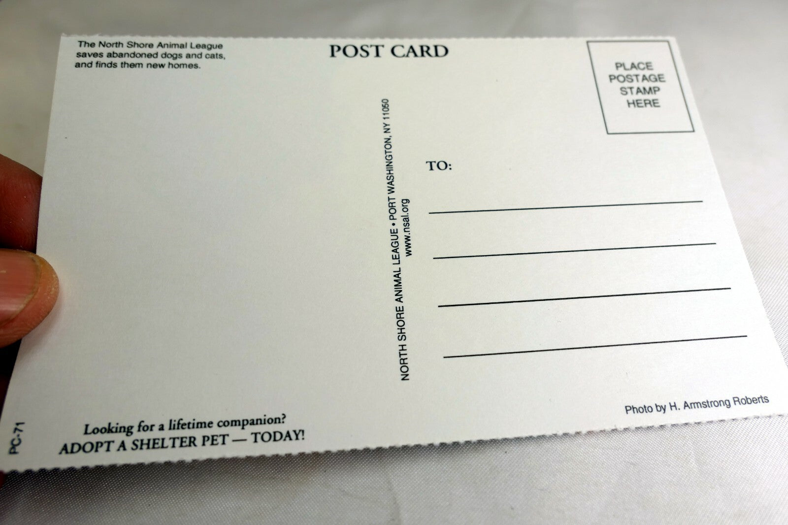 Postcard Animal Shelter North Shore League Adopt a Pet Kitten Cat vintage 1980's