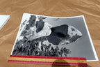 Yosemite California 11X14" Black & white Picture Photo Boulder Rock sky Unsigned