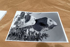 Yosemite California 11X14" Black & white Picture Photo Boulder Rock sky Unsigned