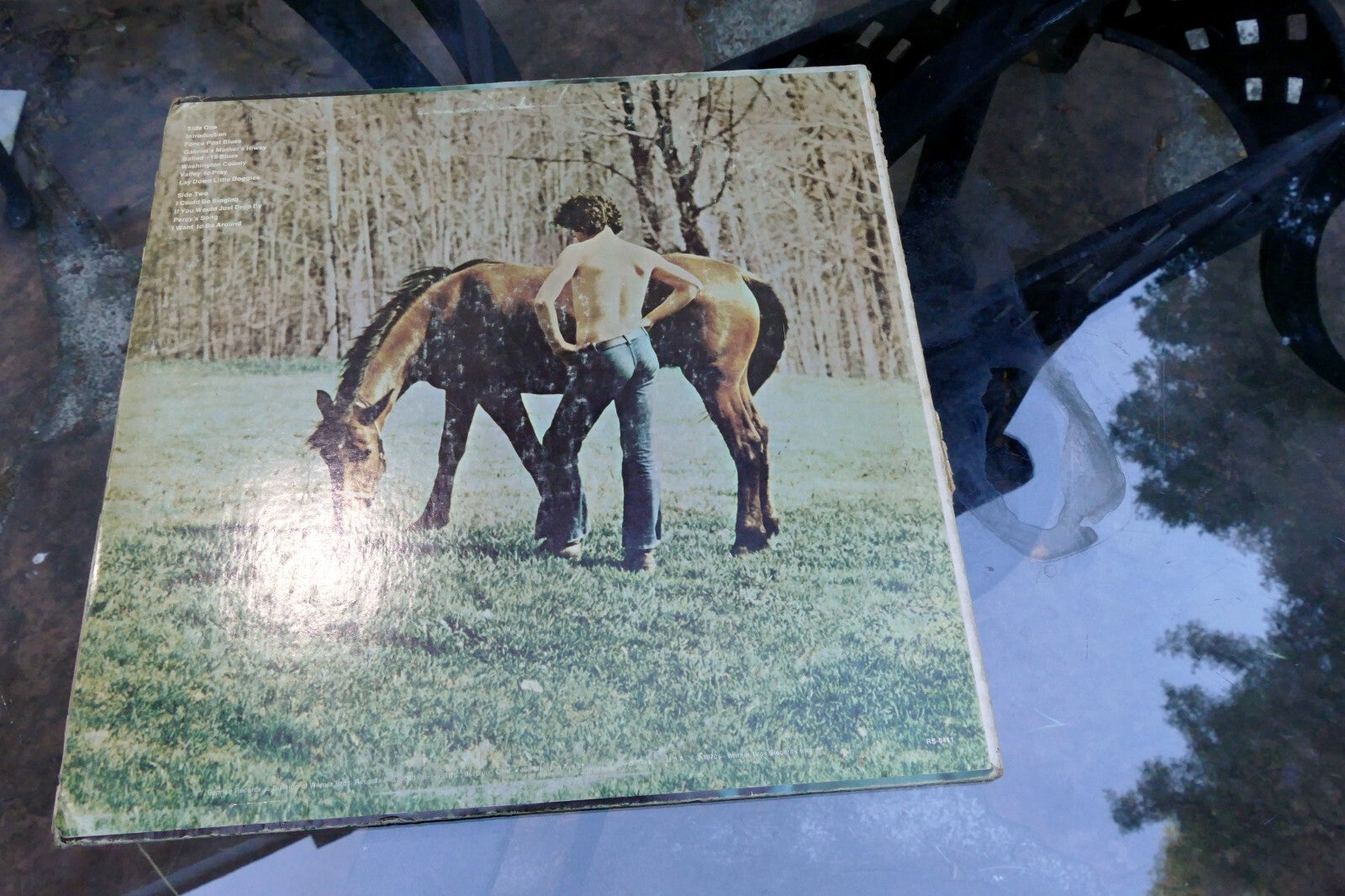 ARLO GUTHRIE - WASHINGTON COUNTY - 1970 REPRISE RECORD RS 6411