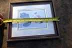 P J Redoute Flower ROSA CENTIFOLIA BULLATA Botanical Art Print Framed w/ Glass