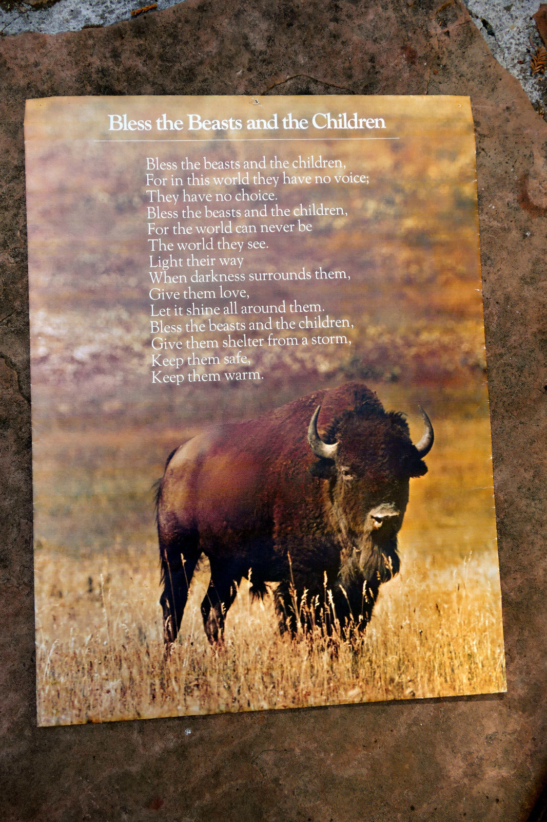 BLESS THE BEAST AND THE CHILDREN Poster with Buffalo Spingbok 1971 wall hanging