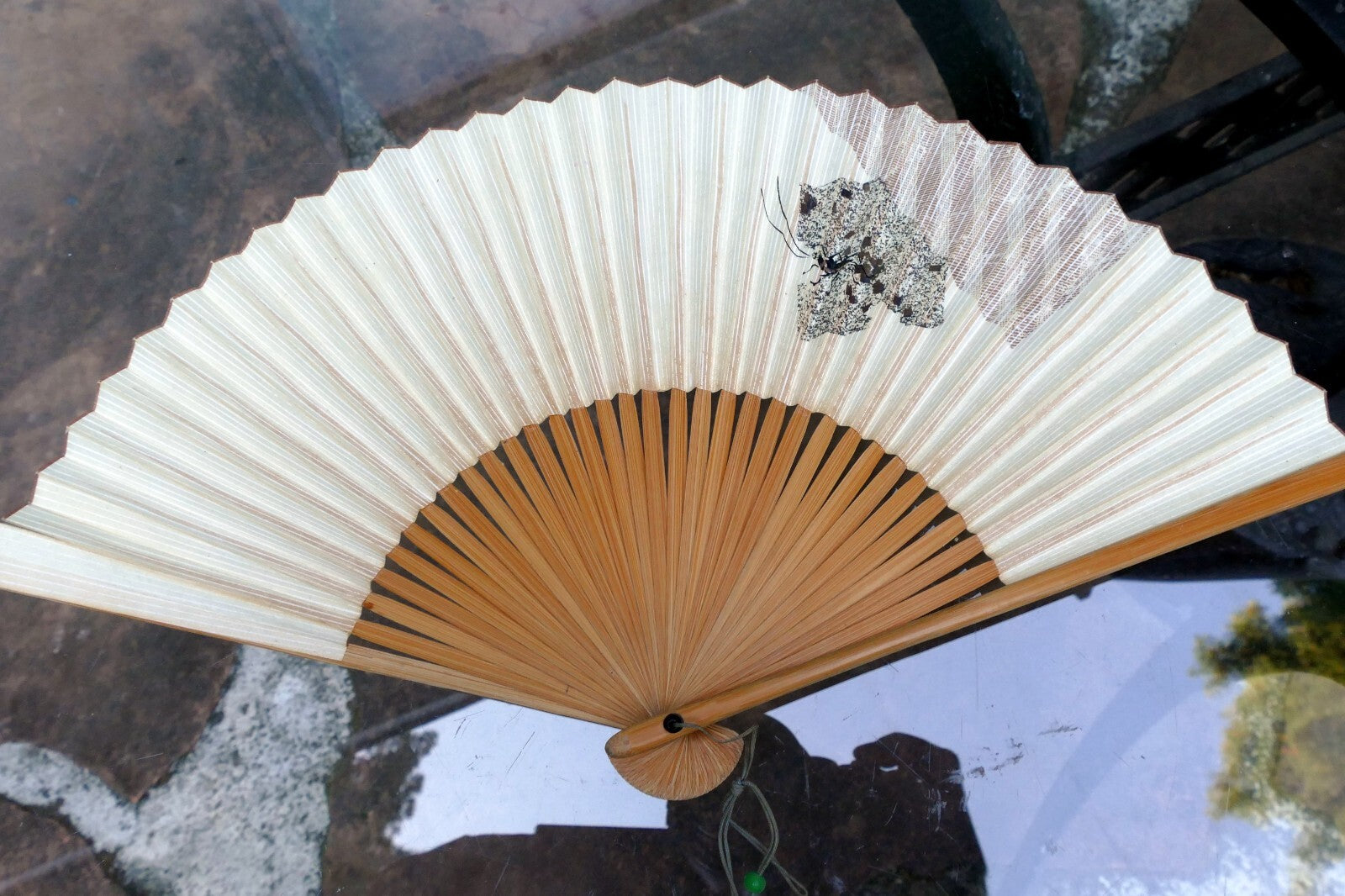 Japanese Hand FOLDING FAN, Bamboo with Cricket hand painted
