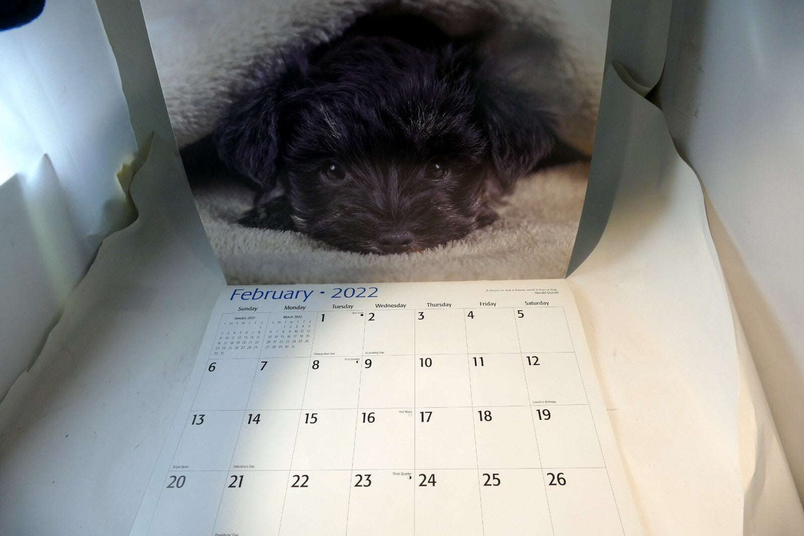 2022 Miniature Calendar puppy dog pics Red Ember family series