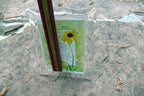 5X7" Acrylic Picture photo frame w music box TUNE: "That's what Friends are for"
