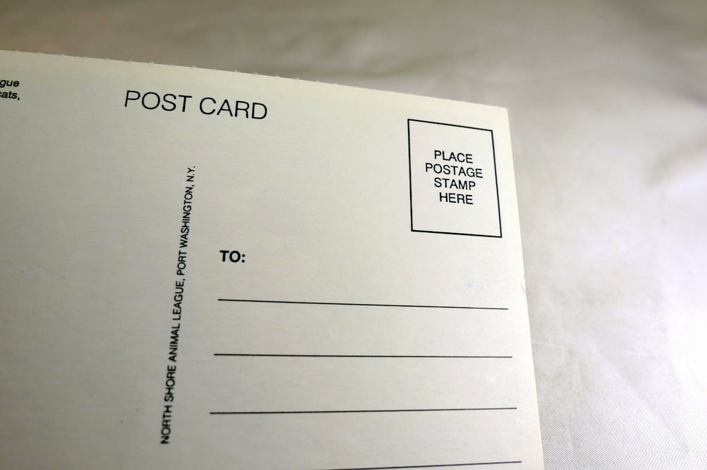 Greeting Postcard Animal Shelter North Shore League Dog Puppy with ball waiting