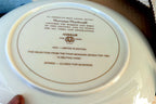 Norman Rockwell 10.5” Plate 1979 "A Helping Hand" Spring Closed for Business