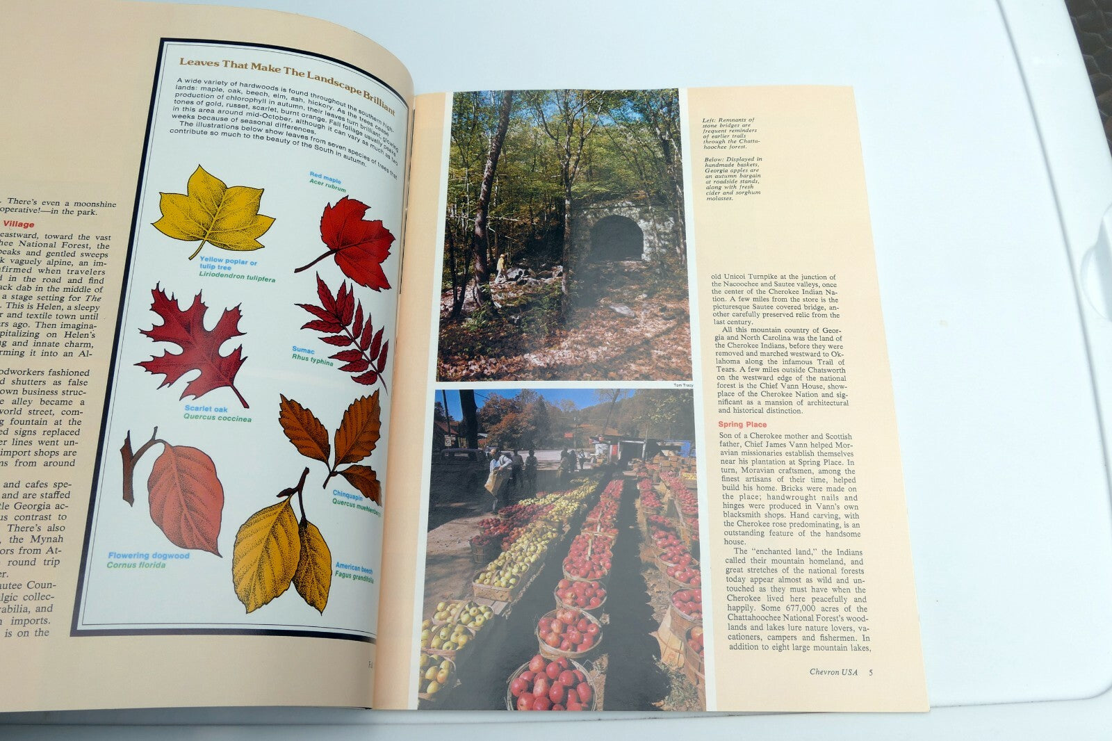 Fall 1975 Chevron USA Travel Club Magazine Zion Park, Santa Cruz, Georgia Hills 