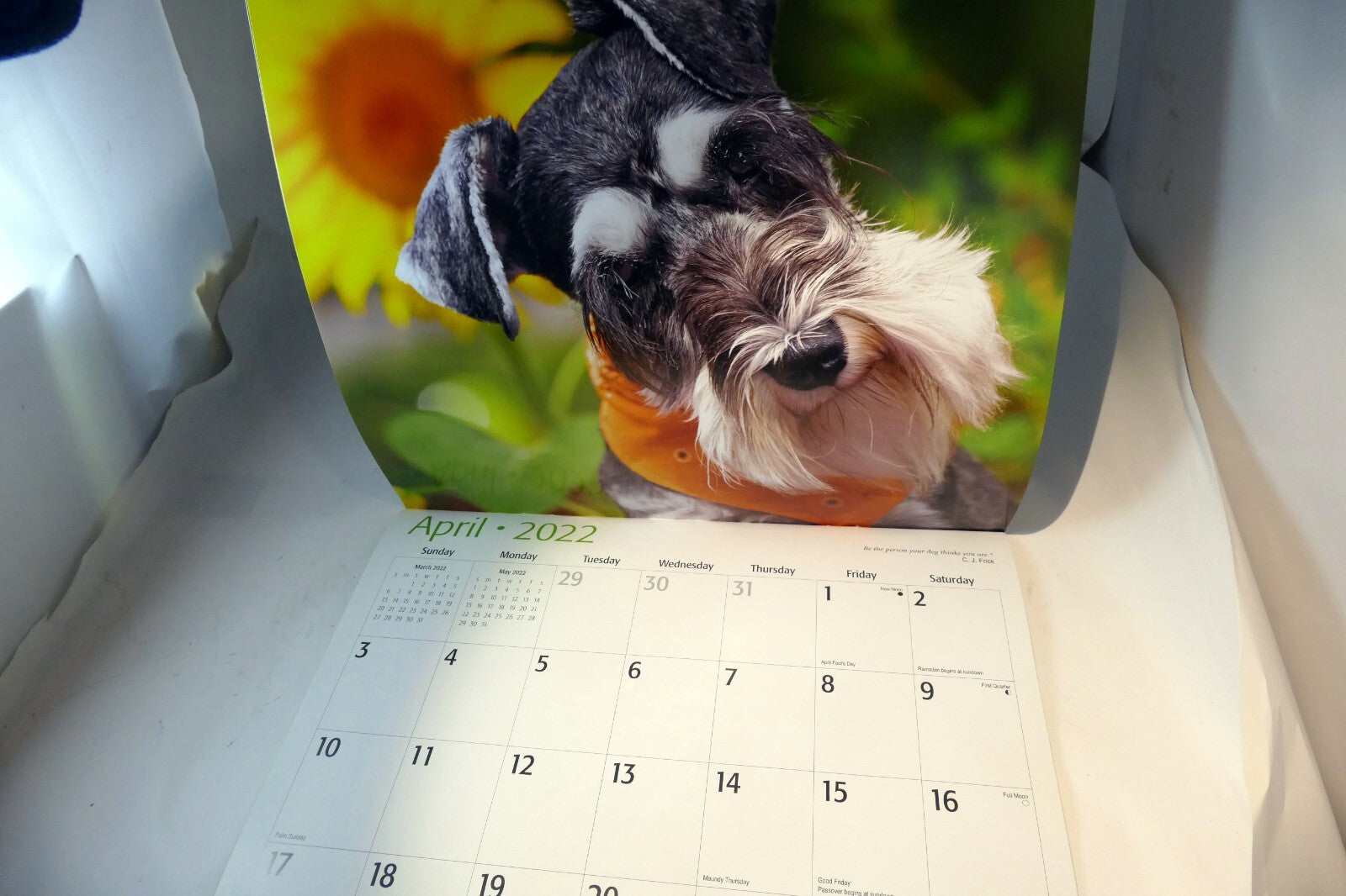 2022 Miniature Calendar puppy dog pics Red Ember family series