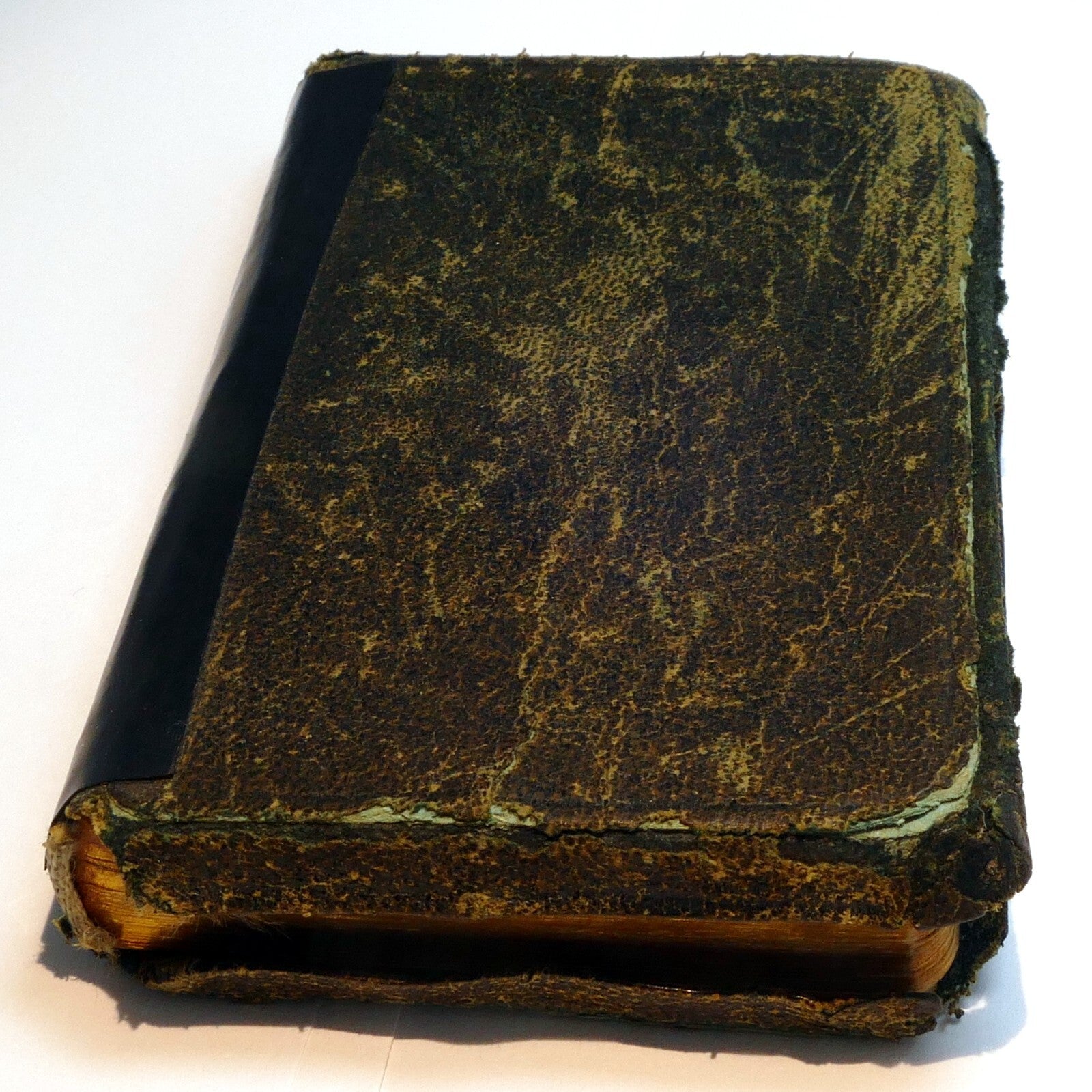 Das neue testament 1950 stuttgart german bible translated by d. martin luther