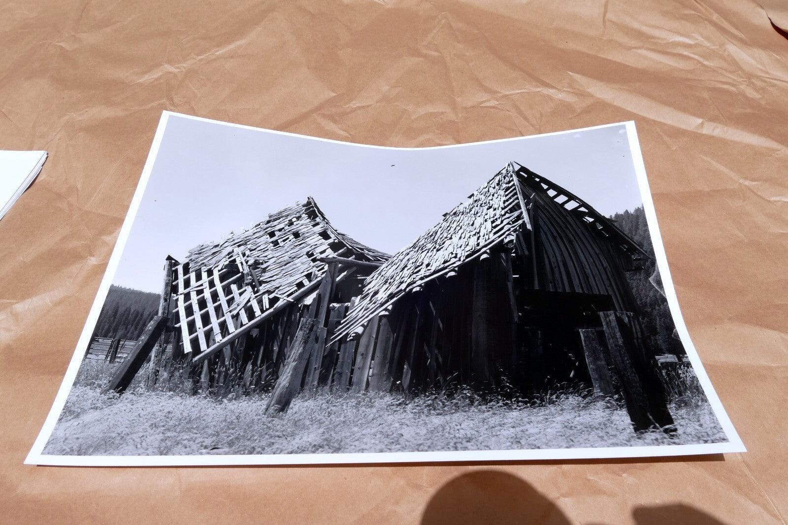 Mt. Shasta California 11X14" Black & white Picture Photo Abandoned Cabin USA