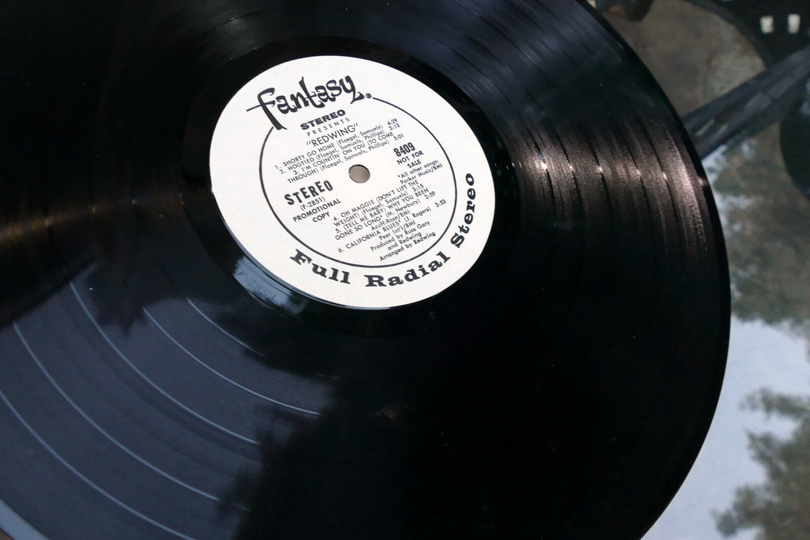 REDWING Hard Folk Psych Vocal Album-FANTASY 8409 VG 1973 Warner Bros. Records LP