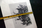 LEONARD BASKIN "Eagle" Woodcut Print - Numbered 54, unframed - vintage