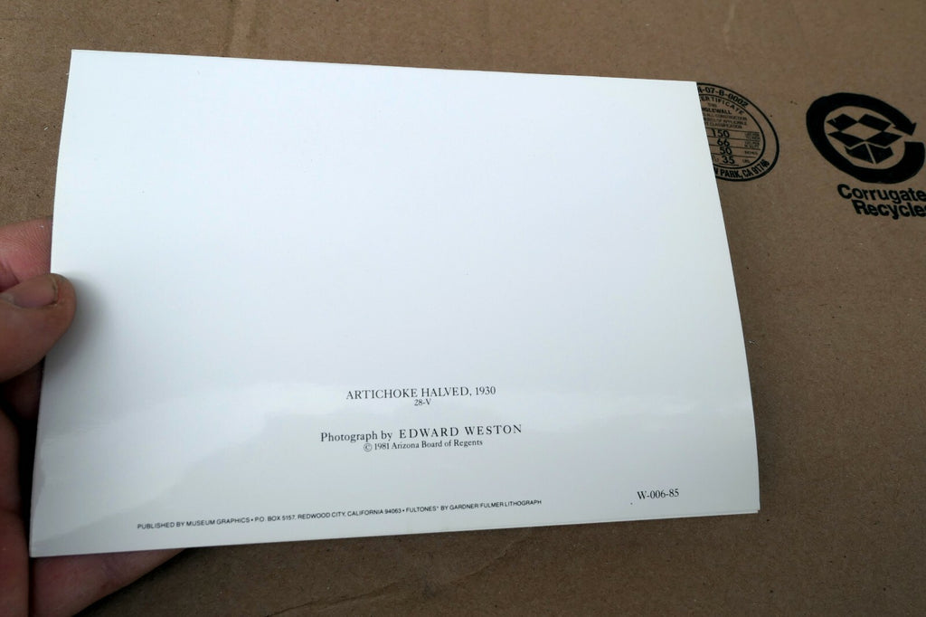 Artichoke Halved 1930 28-V Photograph by Edward Weston W-006-85 Greeting Card