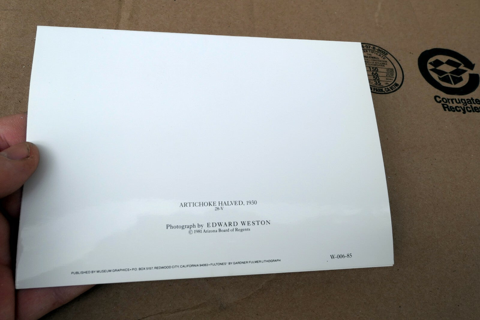 Artichoke Halved 1930 28-V Photograph by Edward Weston W-006-85 Greeting Card